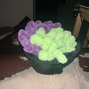liz added a photo of their purchase