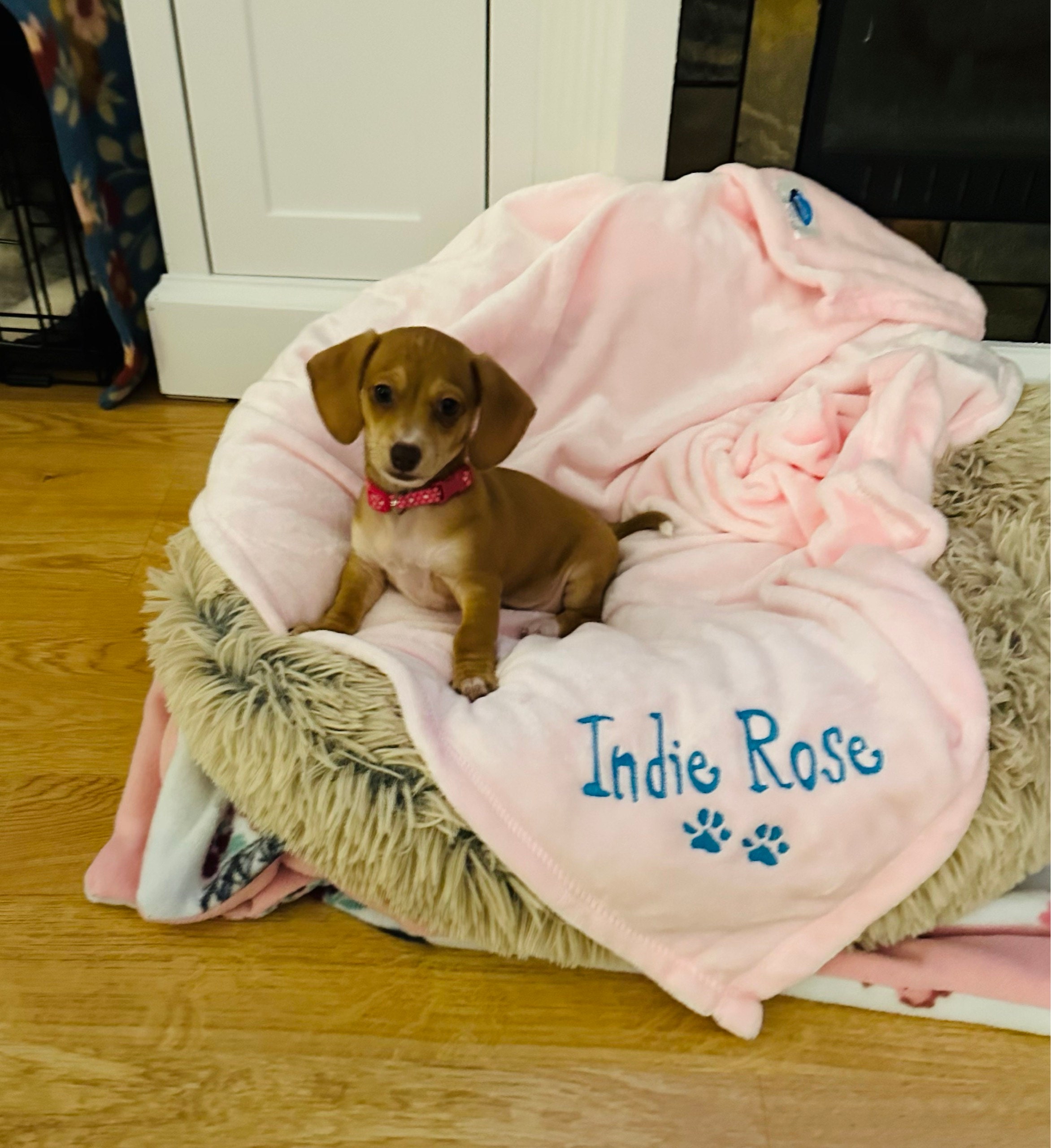 Personalized Soft Blanket for Pet | Blanket with Dogs Name | Blanket with Cats Name Custom Embroidered Blanket for Dog, Cat, with Paw Prints