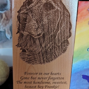 Rachel added a photo of their purchase