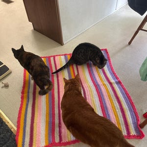 Tabitha added a photo of their purchase