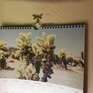 Jan added a photo of their purchase