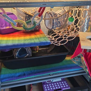 Jen added a photo of their purchase