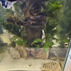 Paulo added a photo of their purchase