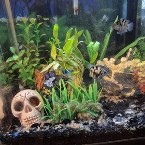 Drew added a photo of their purchase