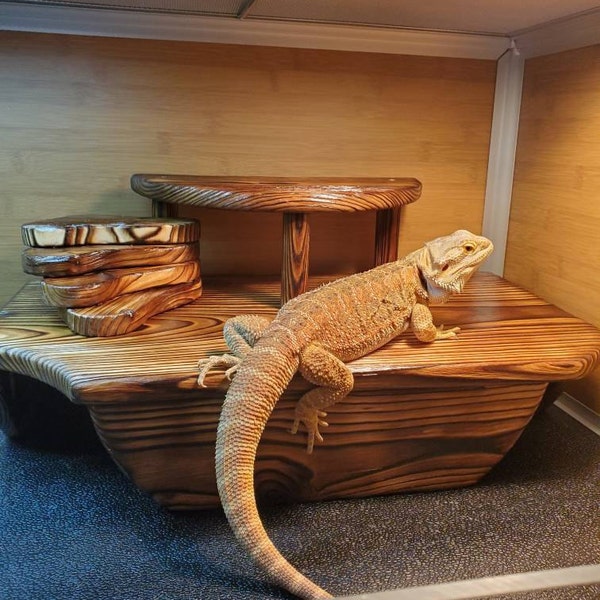 Square Hide With Ramp - Etsy