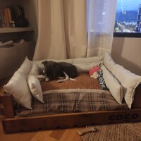 FURTIME Orthopädisches Hundebett Extra Groß – Wasserdicht, Mit Memory-Schaum & Abnehmbarem Bezug