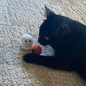 Christy added a photo of their purchase