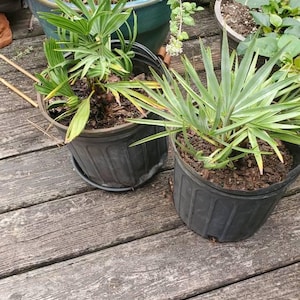 Jennifer a ajouté une photo de son achat