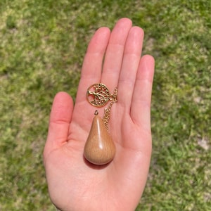 Alicia heeft een foto van de aankoop toegevoegd