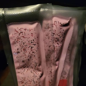 Jessica added a photo of their purchase