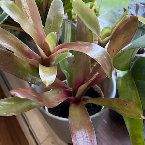 Paul added a photo of their purchase