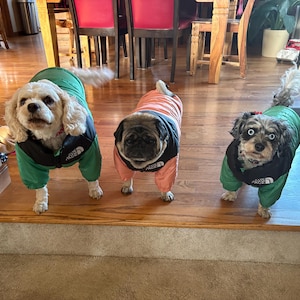 Carolyn added a photo of their purchase