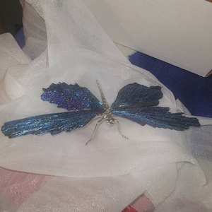 Firefly added a photo of their purchase