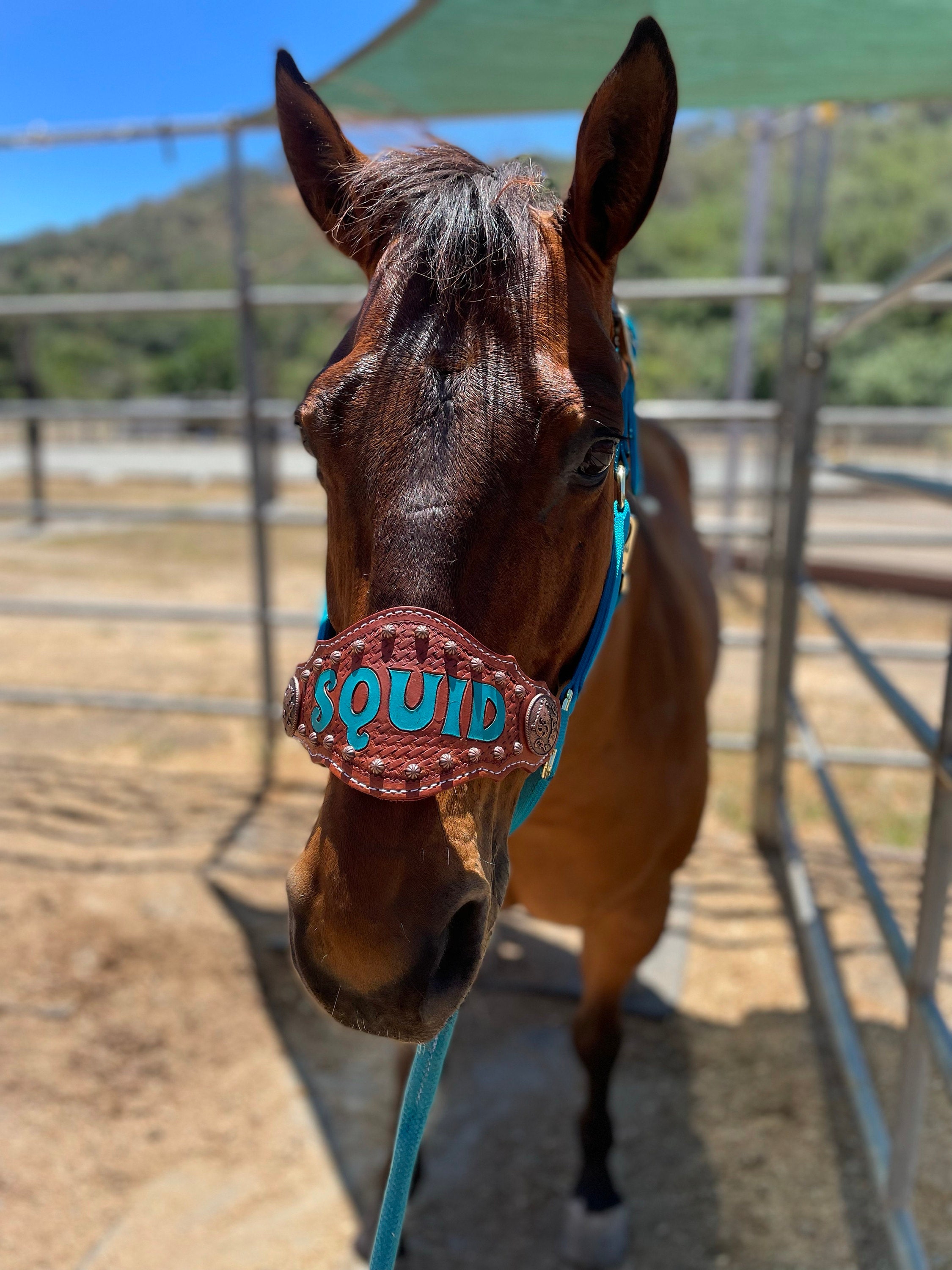 Custom Nylon Bronc Halter - Stronger Design Than Tab Style Leather Noseband