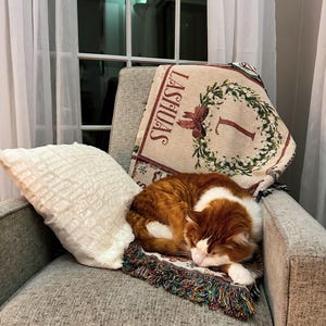 Mandy added a photo of their purchase