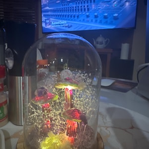 Teresa added a photo of their purchase