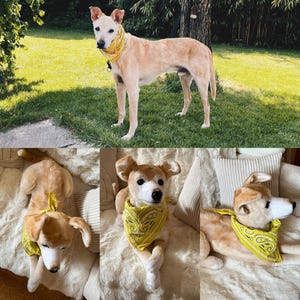 Lena added a photo of their purchase