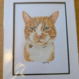 Seren added a photo of their purchase