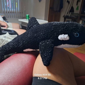 Jody added a photo of their purchase