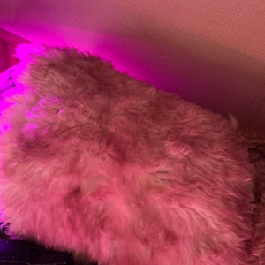 Amanda added a photo of their purchase