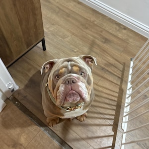 Debbie added a photo of their purchase