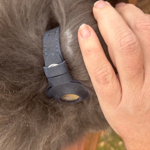 Libby added a photo of their purchase