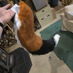 Forrest added a photo of their purchase