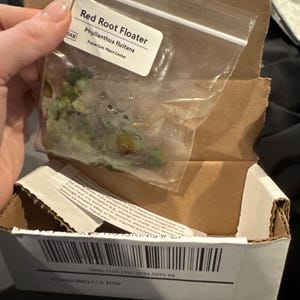 Emma hat ein Foto des gekauften Artikels hinzugefügt