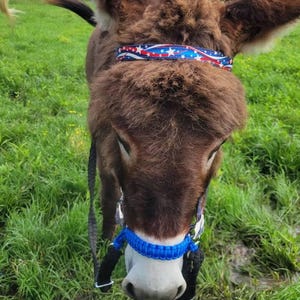 Emily ha añadido una foto de su compra