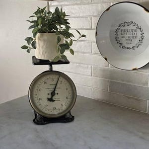 Shannon added a photo of their purchase