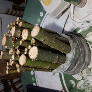 Nikki ha añadido una foto de su compra