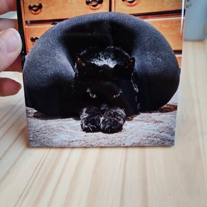 Cami added a photo of their purchase