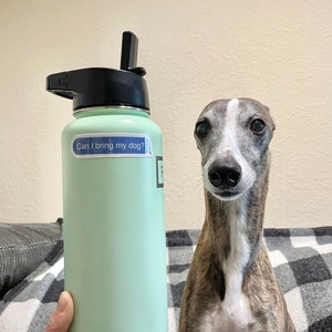 Sandy added a photo of their purchase