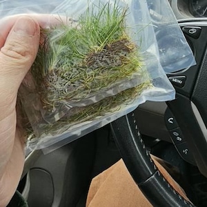 Dee added a photo of their purchase