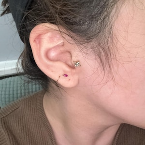 lizbeth added a photo of their purchase