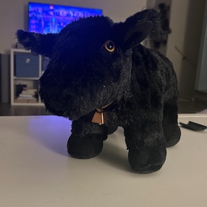 Abbi ha aggiunto una foto del proprio acquisto