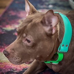 Jonathan hat ein Foto des gekauften Artikels hinzugefügt