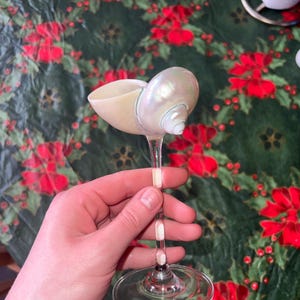 hauntlys heeft een foto van de aankoop toegevoegd