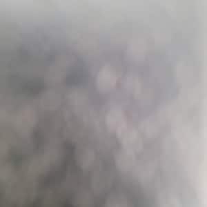 Tim added a photo of their purchase