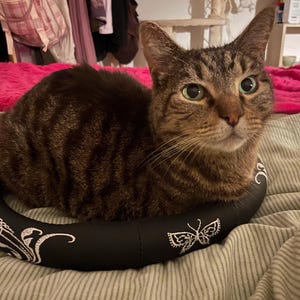 Rebecca added a photo of their purchase