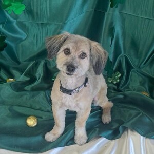 Anthony added a photo of their purchase