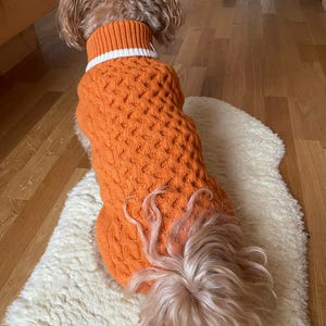 Katharina added a photo of their purchase