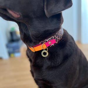 Moni added a photo of their purchase