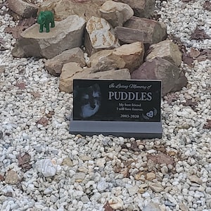 Sean added a photo of their purchase