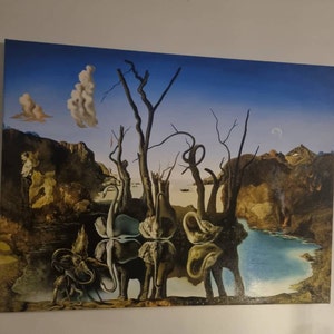 xavier added a photo of their purchase