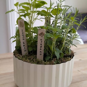 Julie added a photo of their purchase
