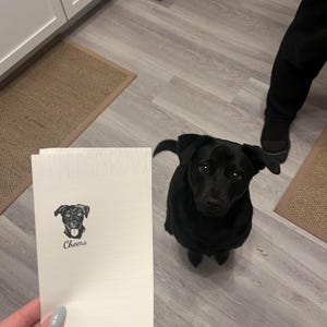Abby added a photo of their purchase