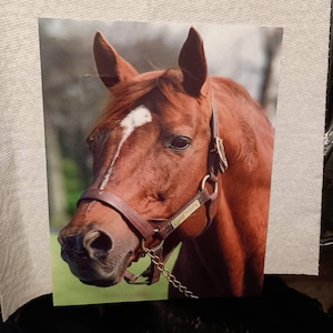Greg added a photo of their purchase