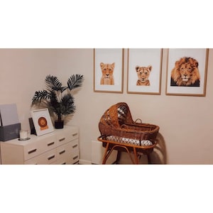 Molly added a photo of their purchase