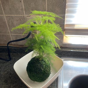 penny ha aggiunto una foto del proprio acquisto